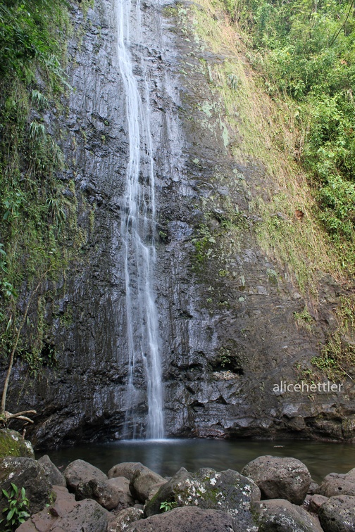 Manoa Falls